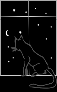 Black cat in window with dark starry night outside