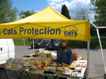 Cats Protection Charity Stall