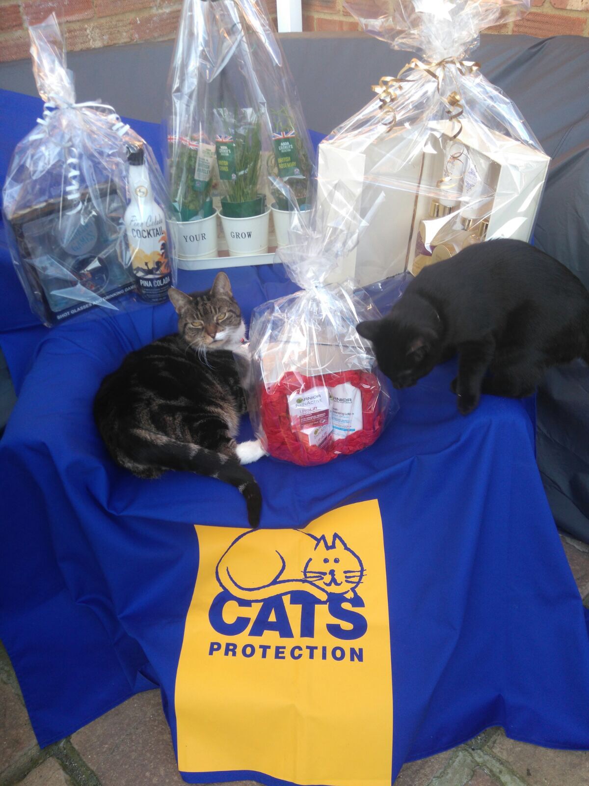 Bailey and Bear with prizes