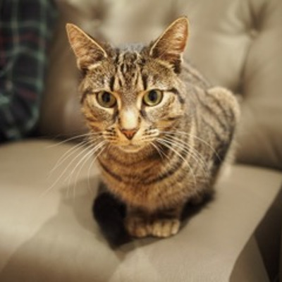 Molly