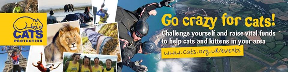 challenge event banner