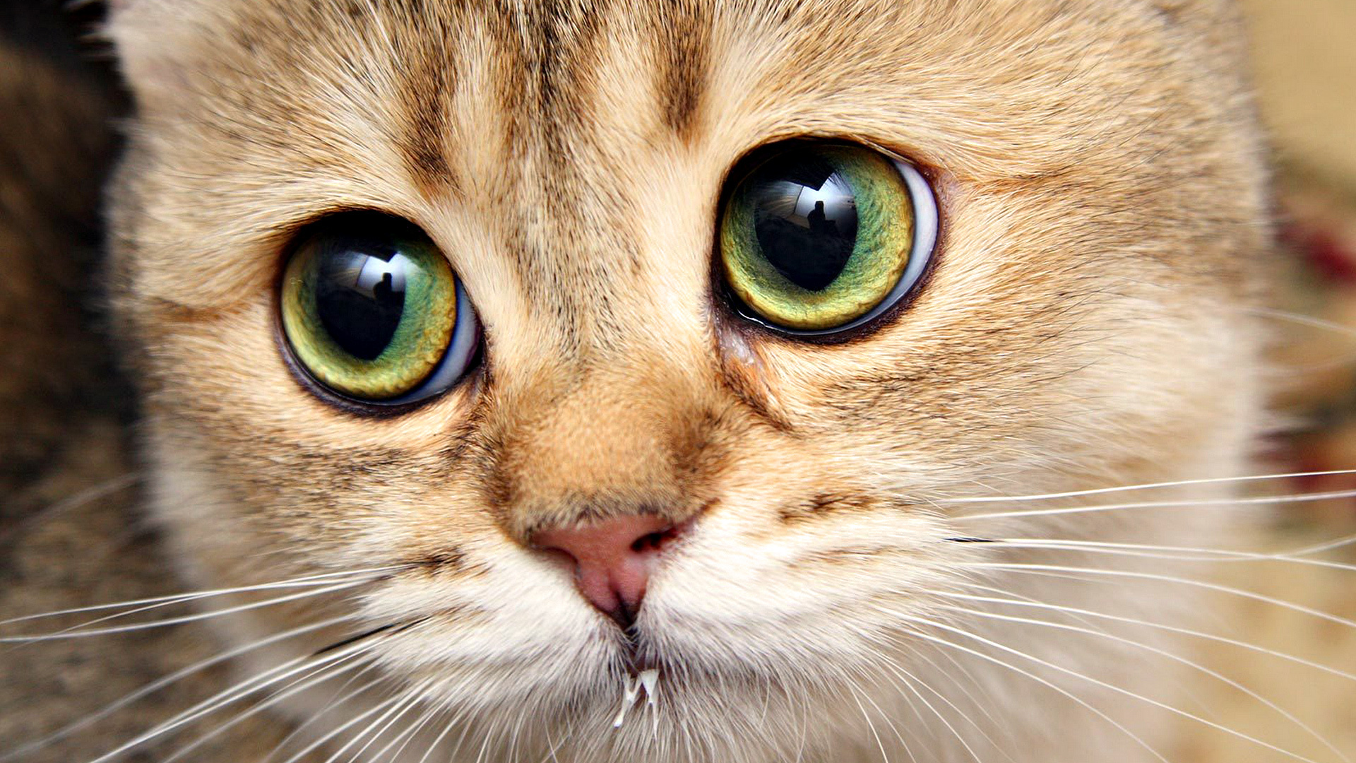 big eyes