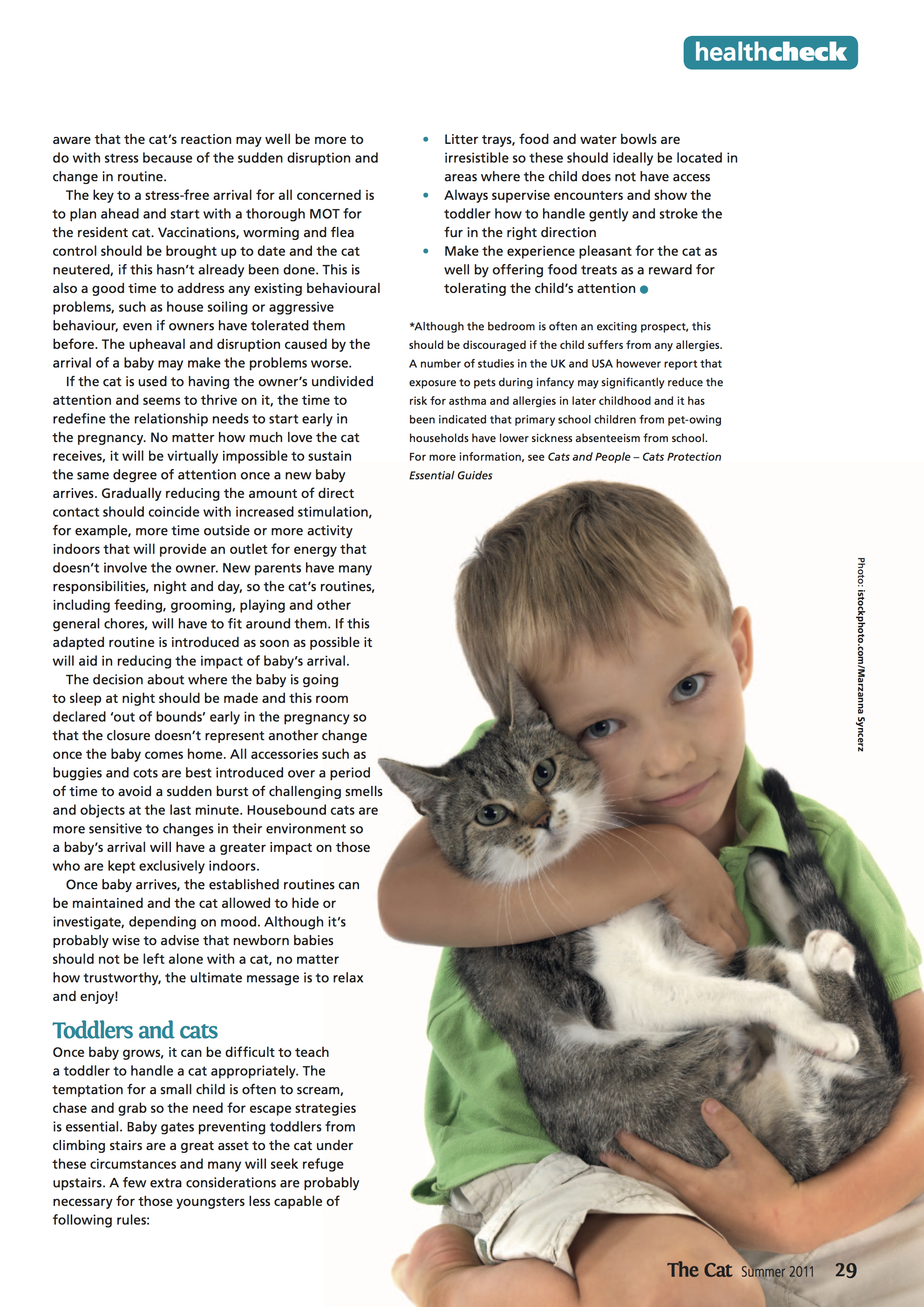 Toddler Cat Protecting Child Cat Adoption Centre Cats Protection