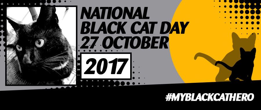 Black Cat Day Banner