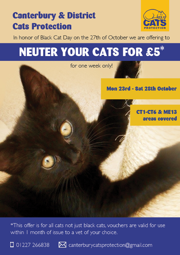 Vouchers To Get Cats Neutered Vouchers To Get Cats Neutered