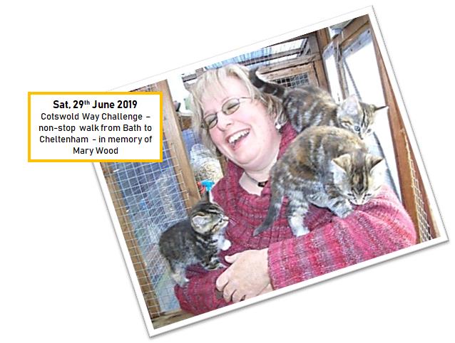 Mary Wood caring for Cheltenham Cats Protection kittens