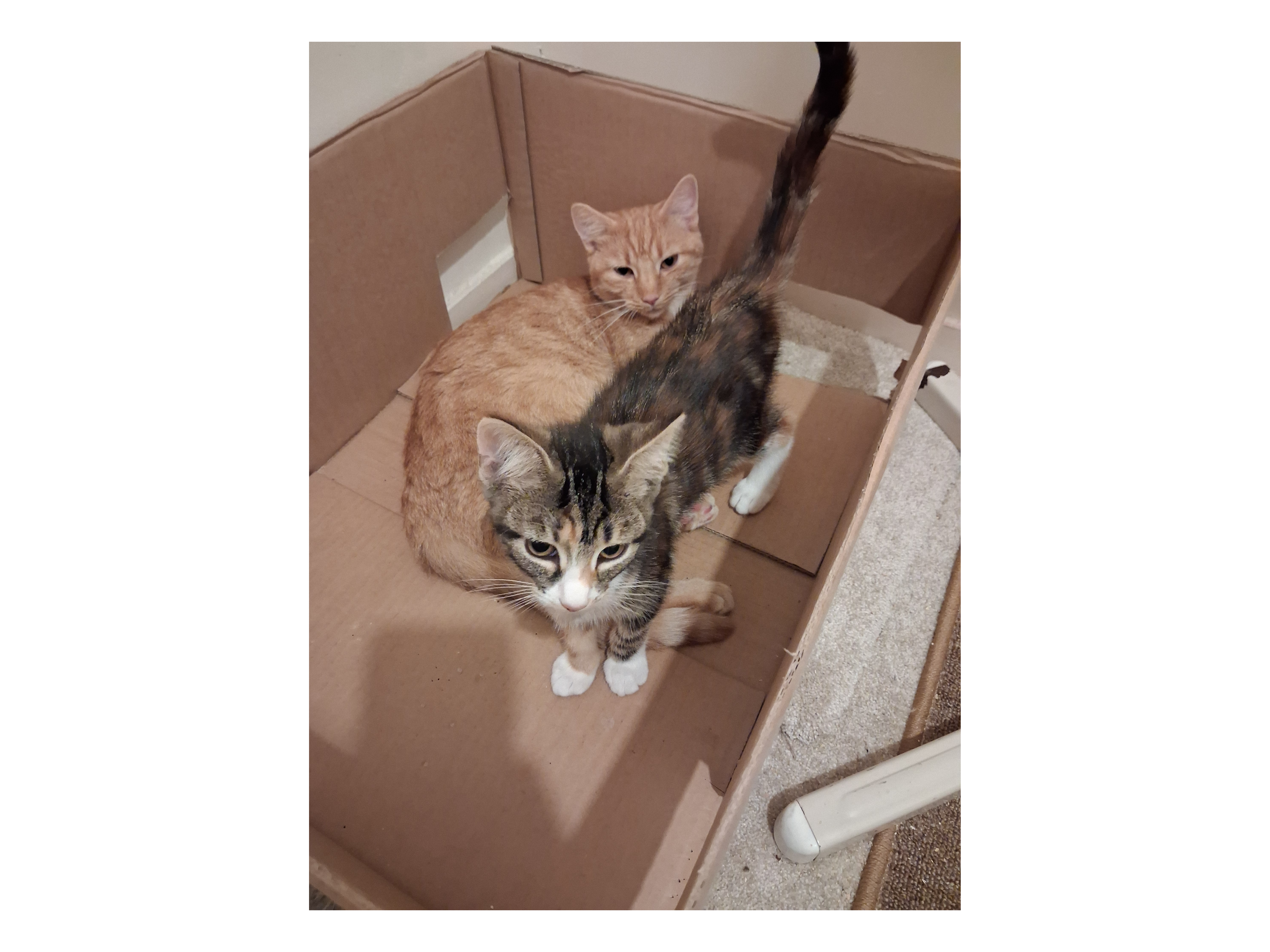Aurora and Scrat