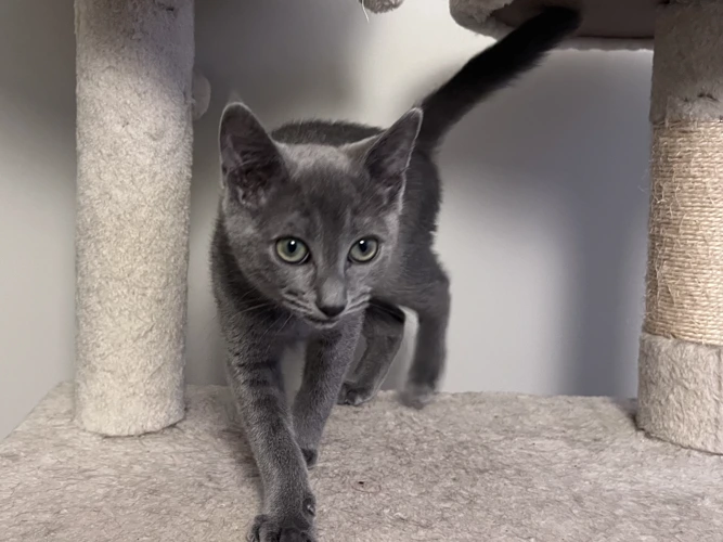 Erin     (see also Ellie and Euan)