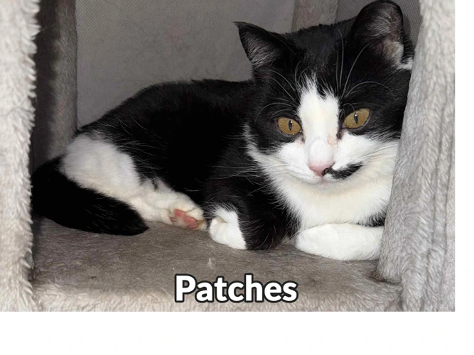 Patches