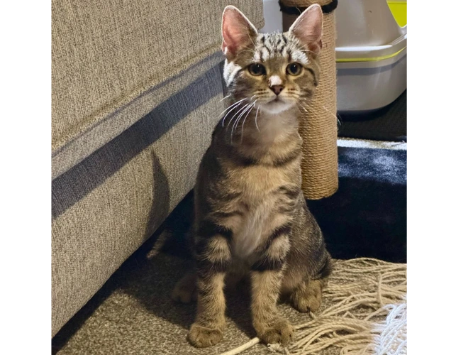 Marco