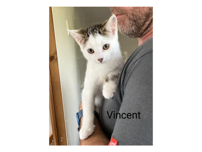Vincent