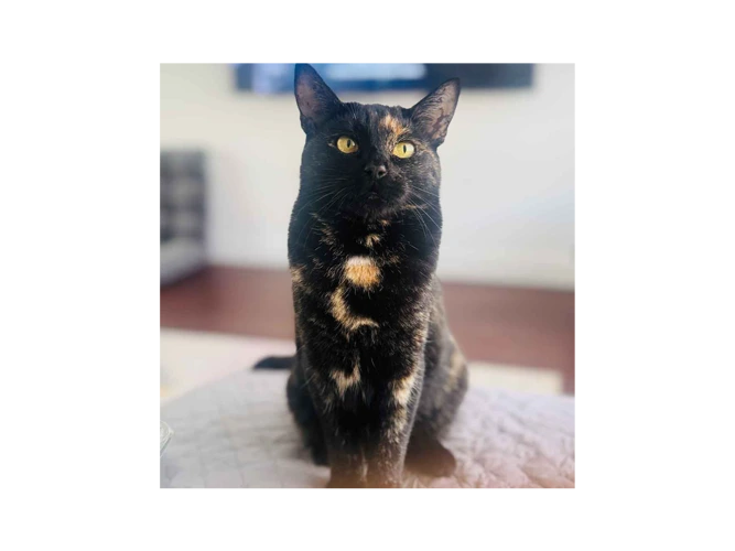 KIKI