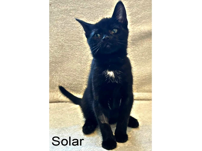 SOLAR