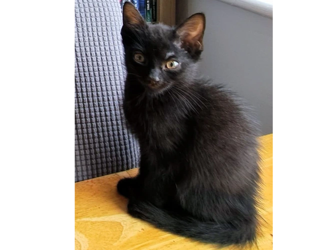 Luna