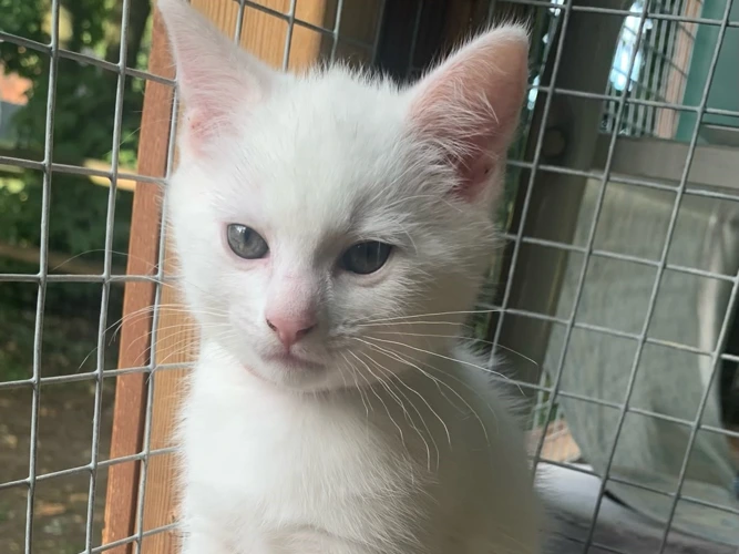 Sam