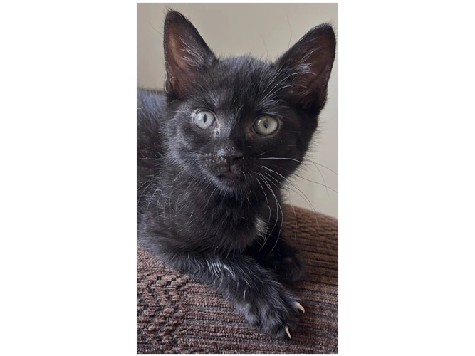 ETHEL