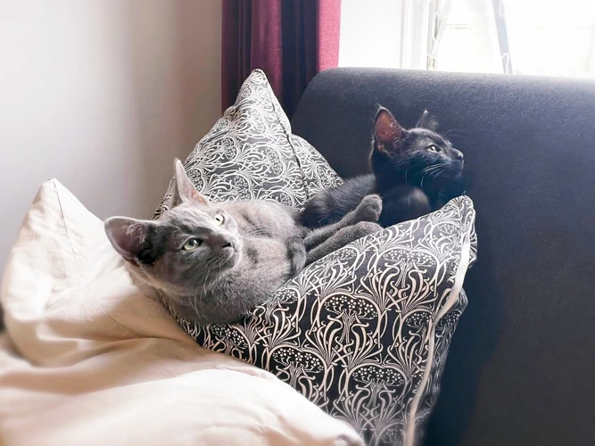 Apollo, Hermes, Thor, Freya & Loki