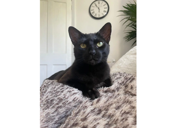 Sabrina