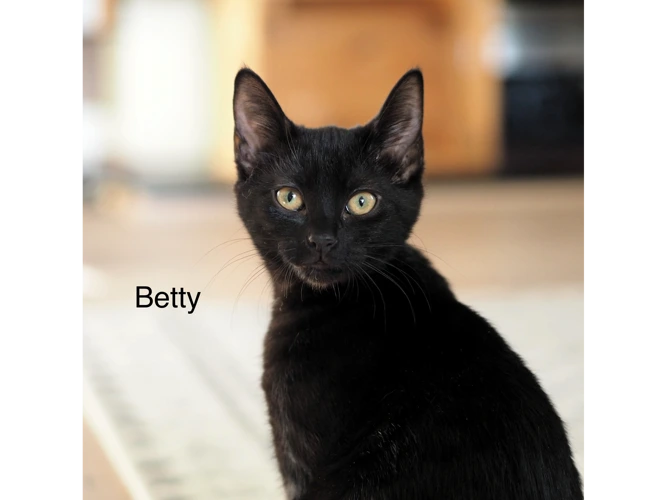 Betty