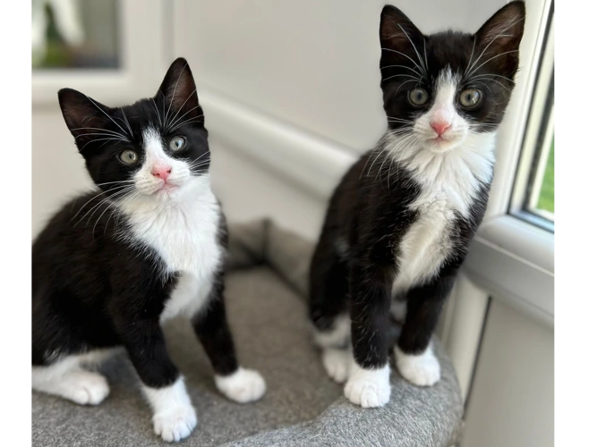 Ethel and Opal