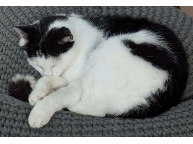Liquorice