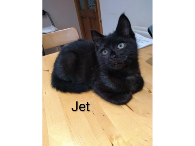 Jet