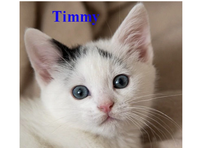Timmy/Tessa