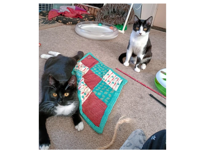 Shelby and Kiki