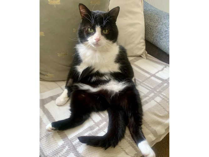 TOM