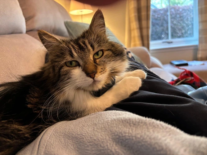 Millie