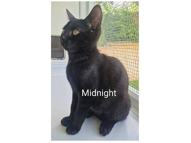 MIDNIGHT