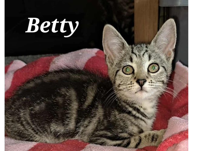 BETTY