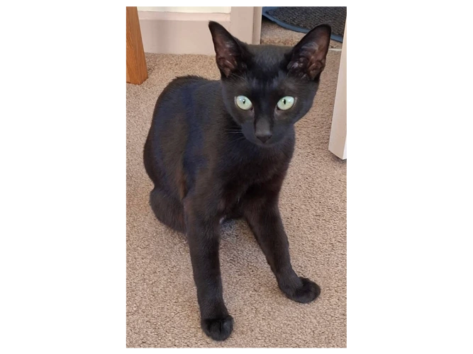 OREO