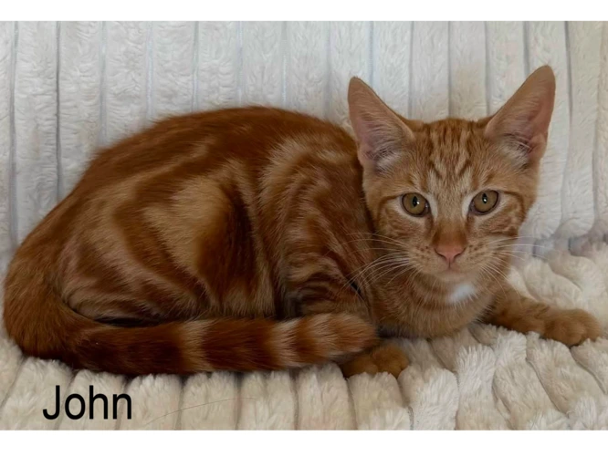 JOHN