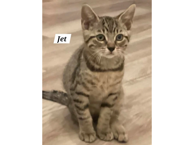 JET