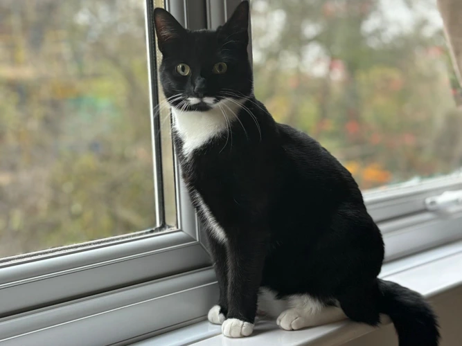 Penny (was Hawa) Adopted 20.11.24.