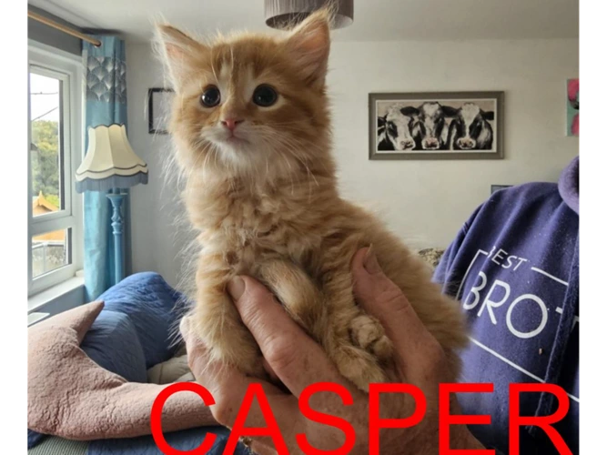 CASPER, FINLEY & MAX
