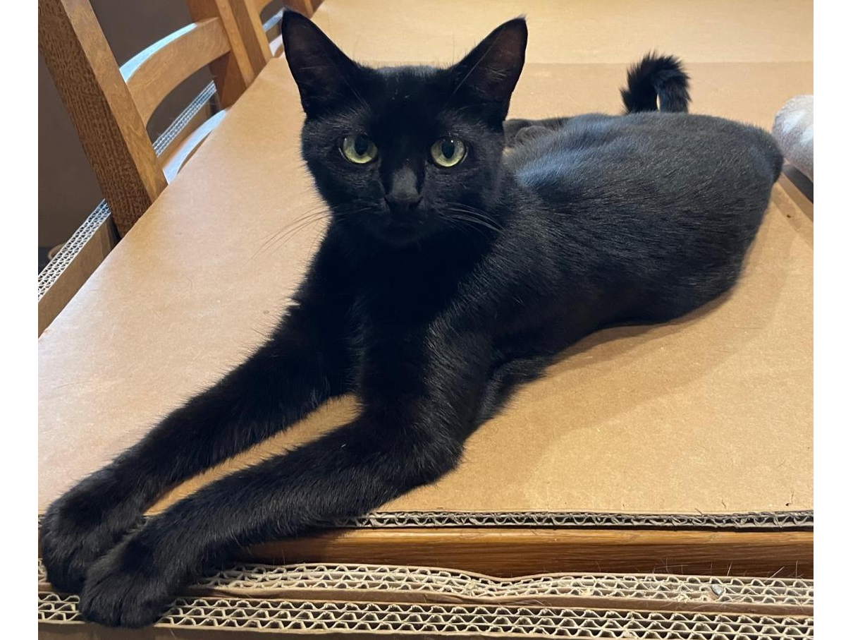 Binx