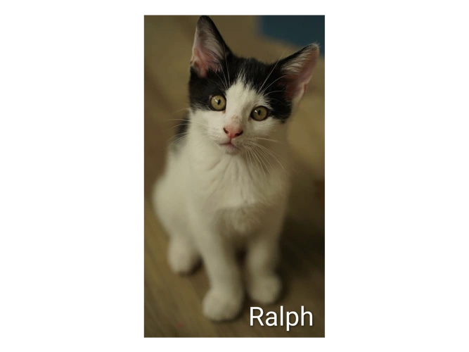 Ralph