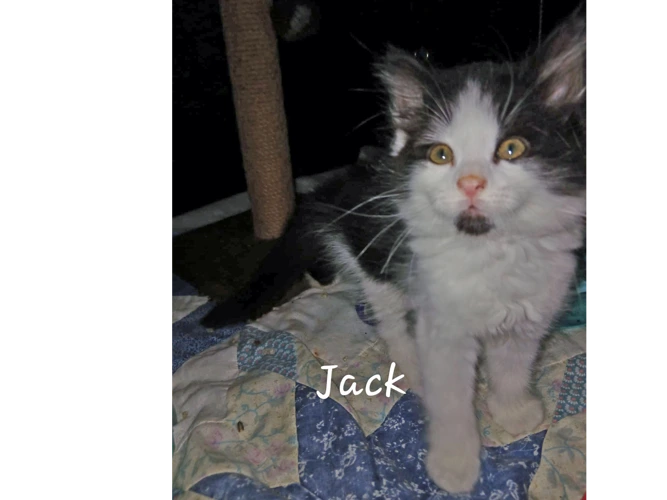 Jack & Jill