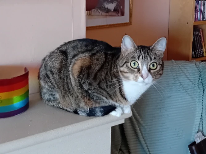 Luna