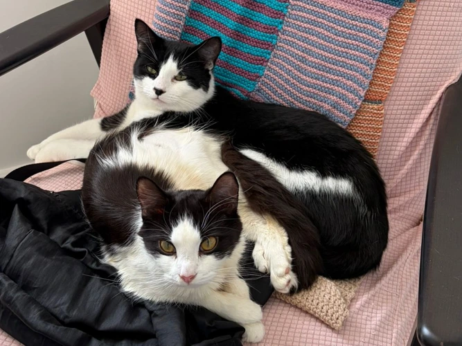 Winnie (1y) and Florence (9m)