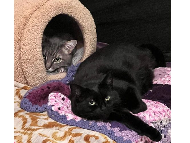 Blue & Lucy