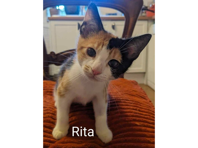 RITA