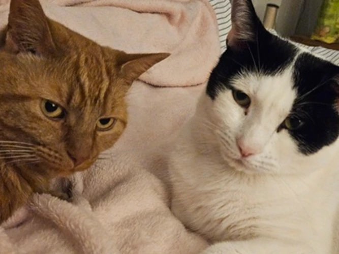 Louie and Rory