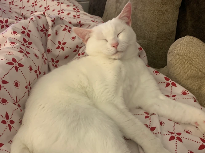 Lumi