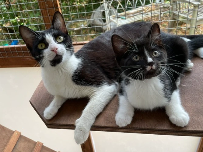 Pixy & Malcolm