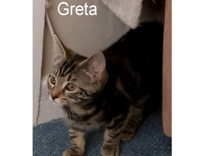 GRETA
