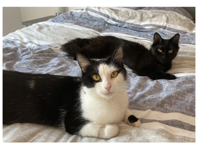 Ginny & Gemma (PAIR)