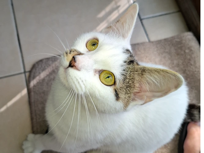 Winnie